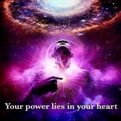 f61c89c3689cbca95268c8b19531f736