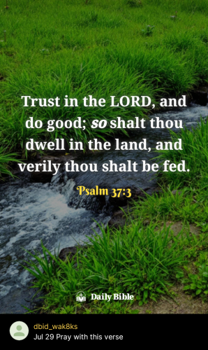 2025-07-291753825015848