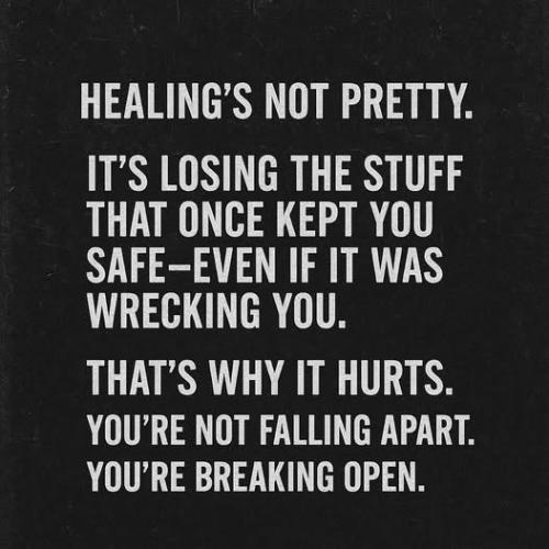 518222794_10213643999730363_7712513516292888063_n