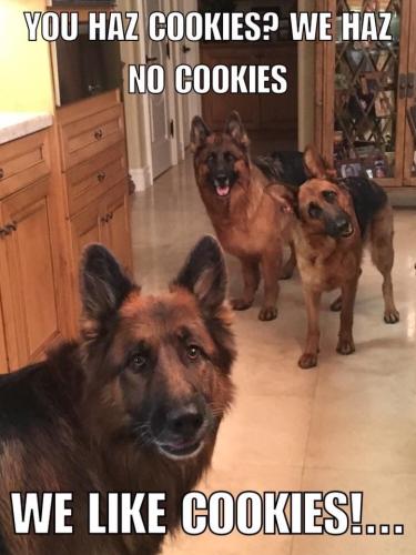 cc32811cc85631921ef7746e2d904bc1