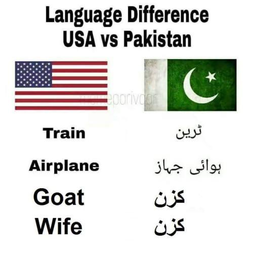 language difference