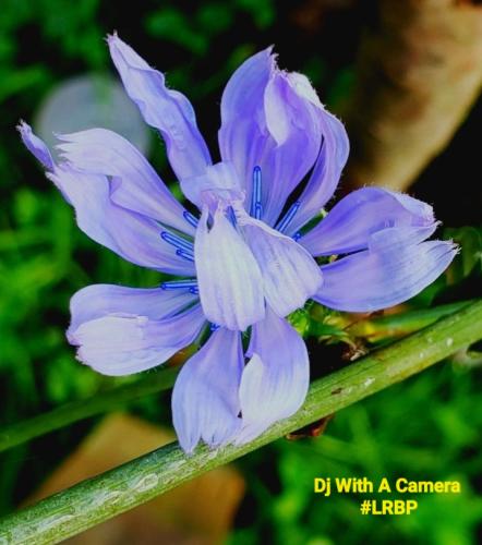 Screenshot_20250711_065507_Gallery