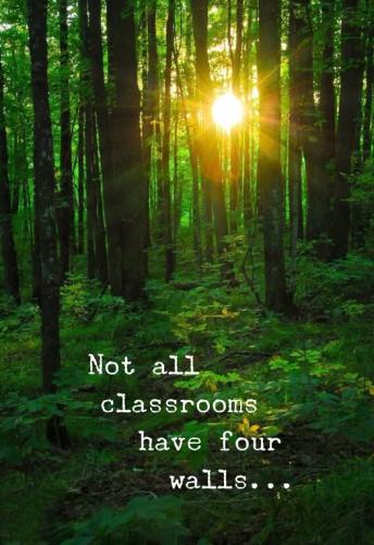 524973916_122195463674053343_3353766300756786611_n