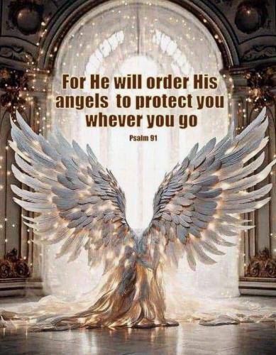 c4a78707d50d485b98cd09312f229b4c