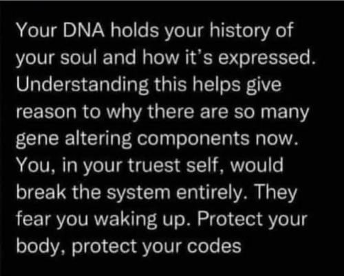 524793857_755917443991117_7733979303286854893_n