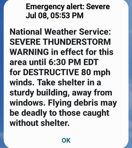 Screenshot_20250708_175524_Wireless Emergency Alerts