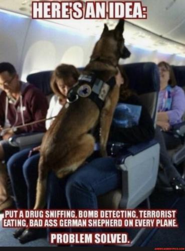 637d44dfd8c86cf2d7fb04f70099eb25bbd9ffe46c9054d58e45481f080e4583_1