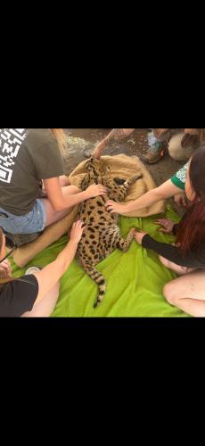 Screenshot_20250725_091519_Messages