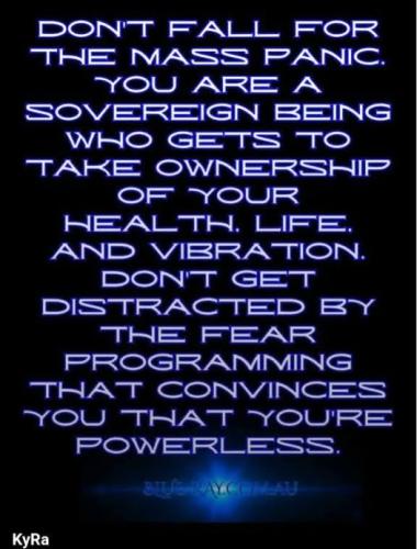 517307276_748172514765610_8900600024761296512_n