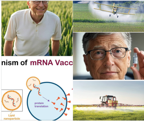 Screen Shot 2025-07-27 at 1.44.57 PM