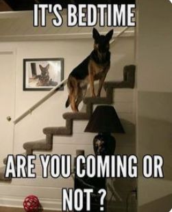 1f3dbee57403c879602c8f98f7b9b0a3