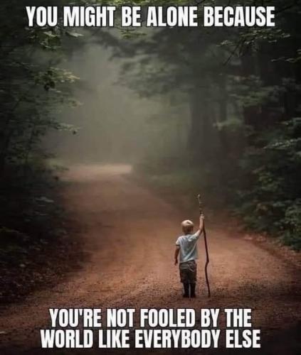 515507950_1279266687531732_6970100866933574204_n