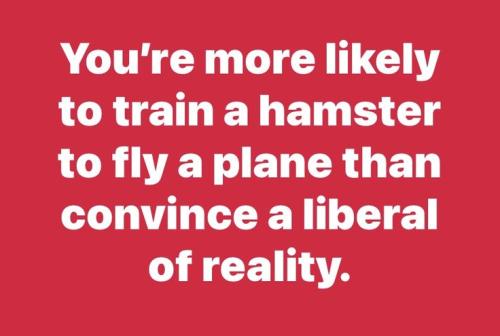 db0448af059a26cb25deb189b0435264