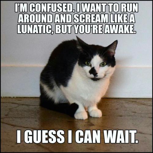 0f8caa33de905670601057177a2750d2