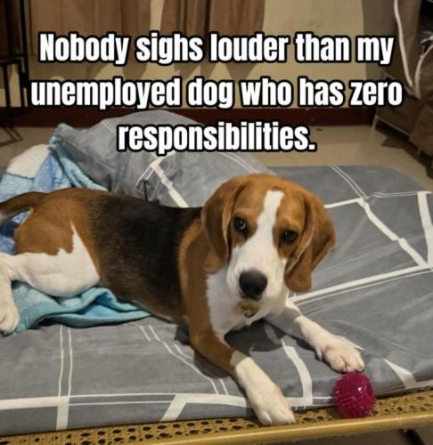 ce350412bc67f447a36c0bdee327ba8a