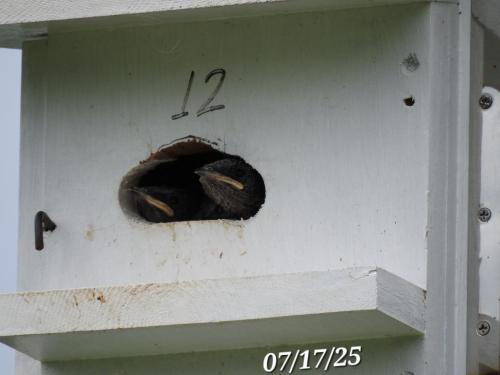 1107adb5-2178-4804-9792-99dbdc85d62a