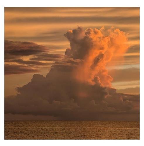 e85c1f85-7c45-45fc-aa9e-79dc0dfae3b6