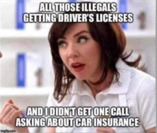 illegals-no-insurance