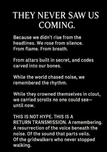 514409904_737880962461432_6844931422668647580_n