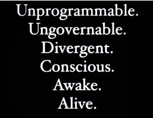 766f6ef4284edd8bcf7ab2dda91e45e8