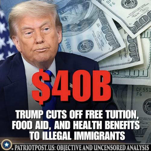 01K04F0NTM5DB63E4HDT02B8TQ