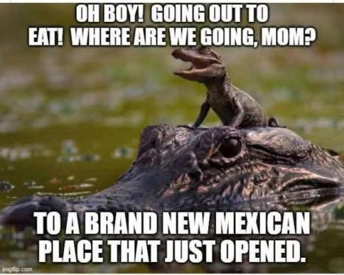 IMG_20250705_103327_359