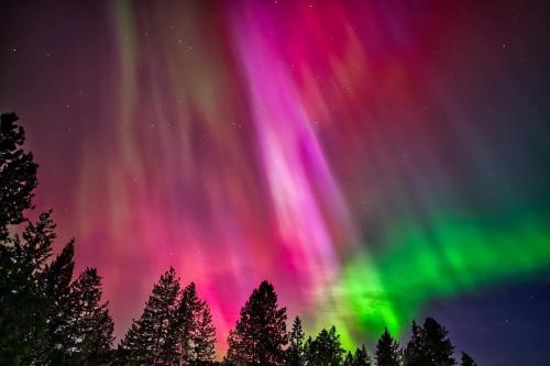 47e16a09-3b55-4489-9b30-831327f3127b