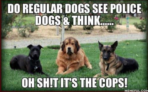 Screenshot_20250731_071125_Gallery