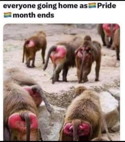 FB_IMG_1751328168113