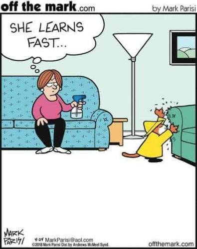 d30d099e54ed867478cf3e7f70d92a5b