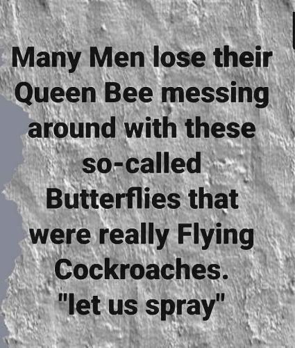 IMG_20250725_161456_346