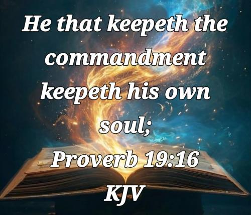 60fe8439-9173-4487-9c9b-a95c270fabcd