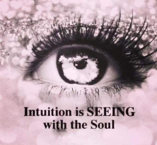 699e03bbf16f5fad584fa9ff8324a84d