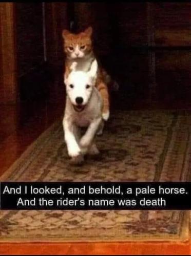 pale-horse-rider-death