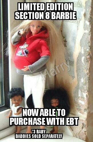 section 8 barbie