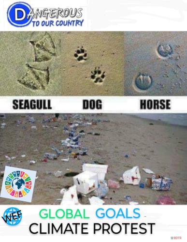 InShot_20250725_065701362~3