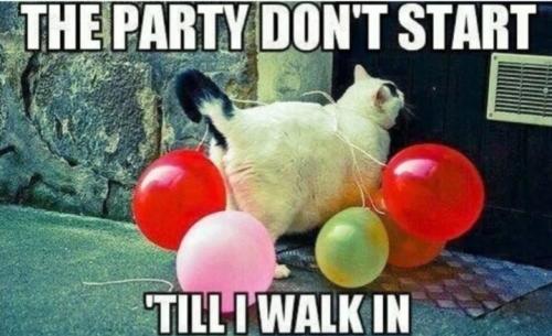 Screenshot_20250718_173650_Gallery