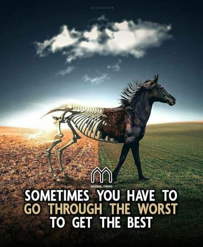 515507703_721794960572085_1247303509891922324_n