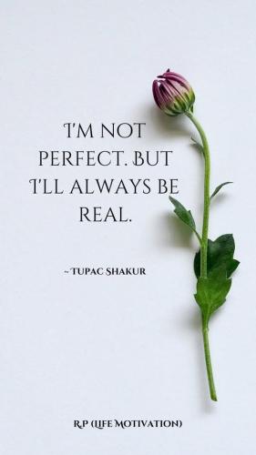 517403777_122262936644023788_5919551534961470318_n