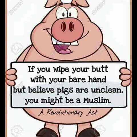you might be a muslim