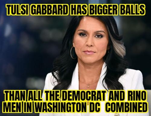 ZomboMeme 21072025145328