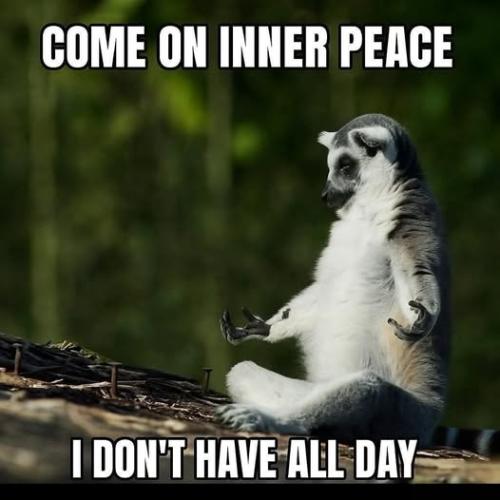 518317033_122219685836088259_2038168520792880265_n