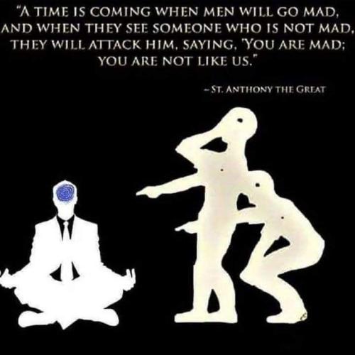 0d4a96413fb3fad85e969337e60acec3