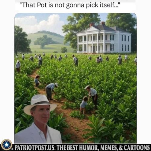 01K0ENQH1JVM3AV1END7WEGYJ0