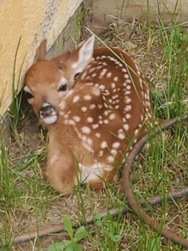 0af38612-f01c-4b42-a04e-6029d07524a7