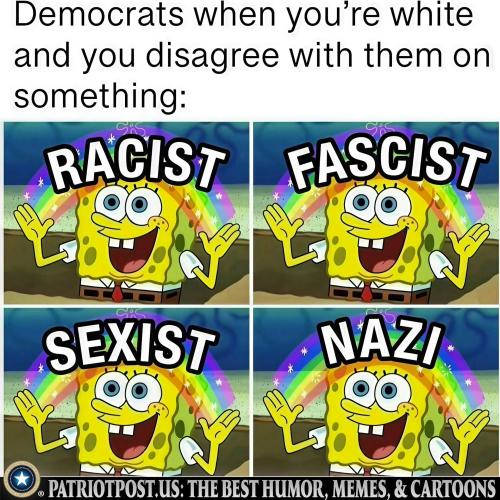 01K0VX8G6HASP9RJ3CK056MB9X