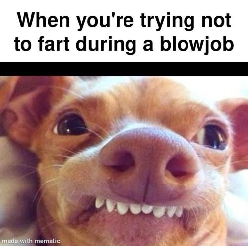 CFDC0262-0EA8-4179-AB56-BDDDE3451E50