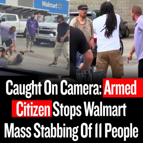 524698480_1275013153990996_3311729207902522227_n