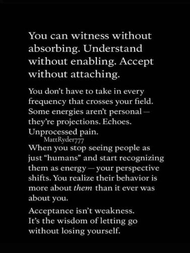 515510630_1552587362367842_8074074318694792073_n