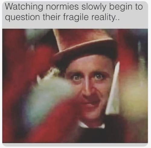 515436272_1317742503042927_63339506649851897_n